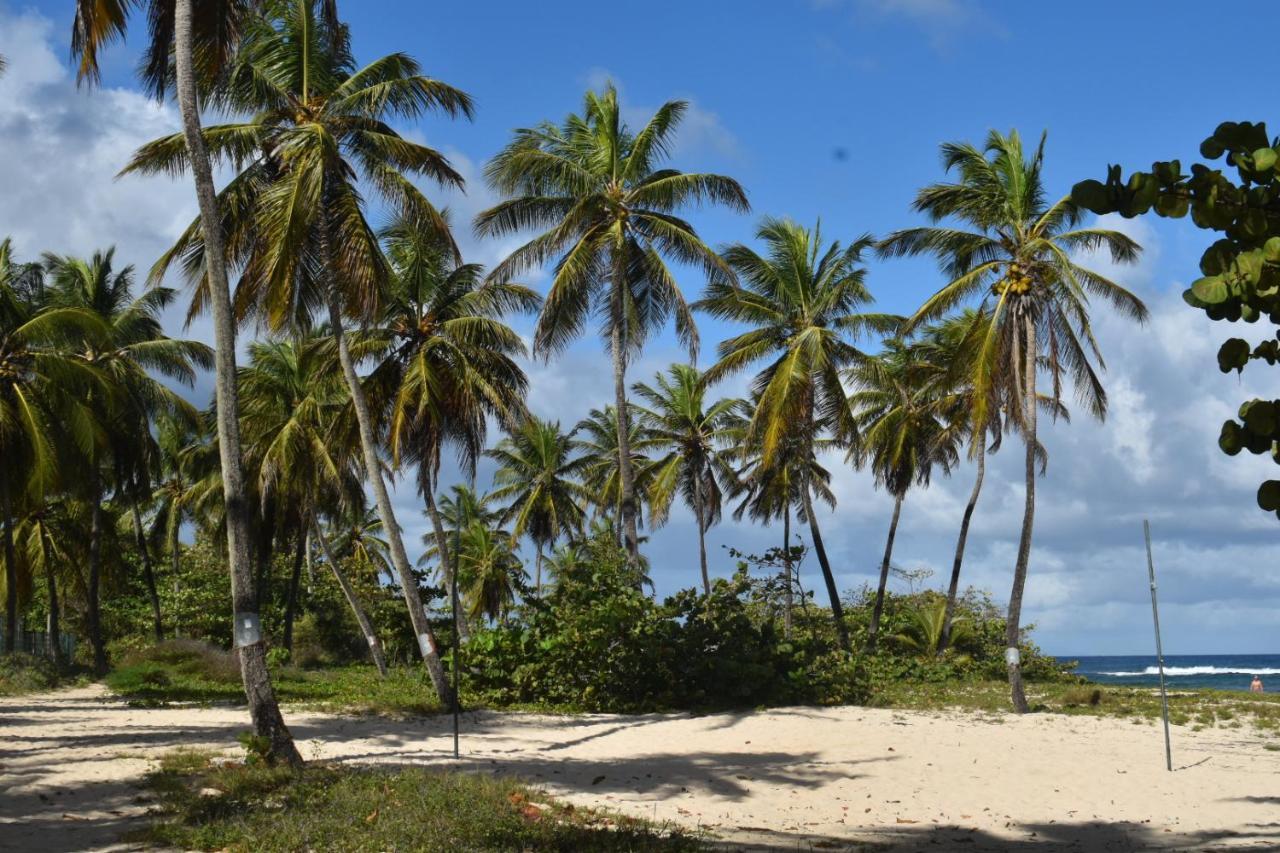 Location Vacances Guadeloupe Gite Et Table D'Hotes Kaz A Klemence Anse-Bertrand Exterior foto