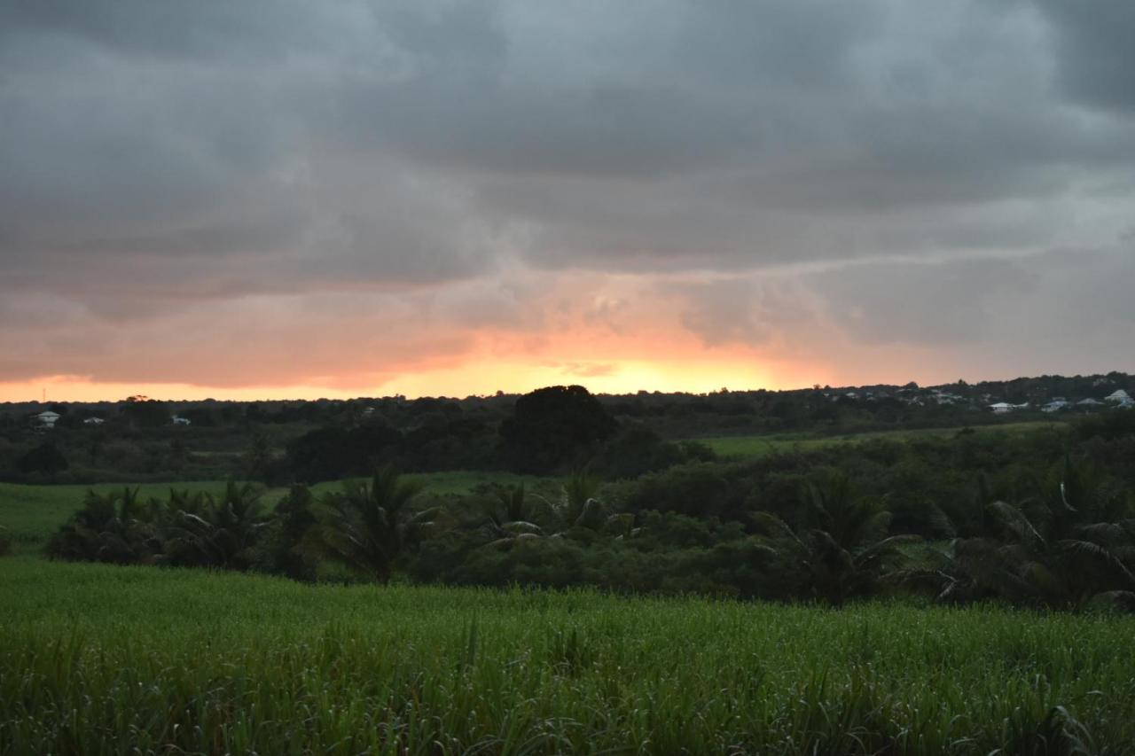 Location Vacances Guadeloupe Gite Et Table D'Hotes Kaz A Klemence Anse-Bertrand Exterior foto