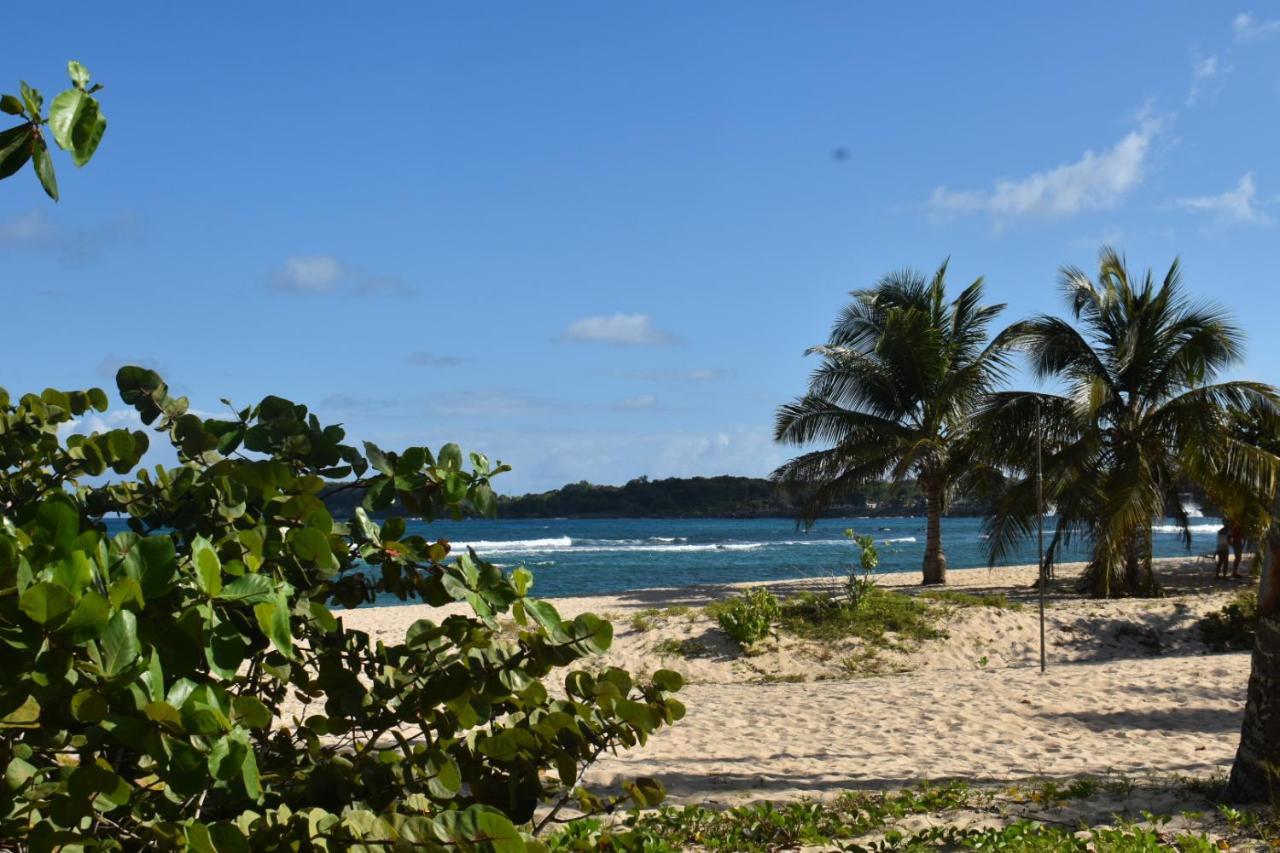 Location Vacances Guadeloupe Gite Et Table D'Hotes Kaz A Klemence Anse-Bertrand Exterior foto