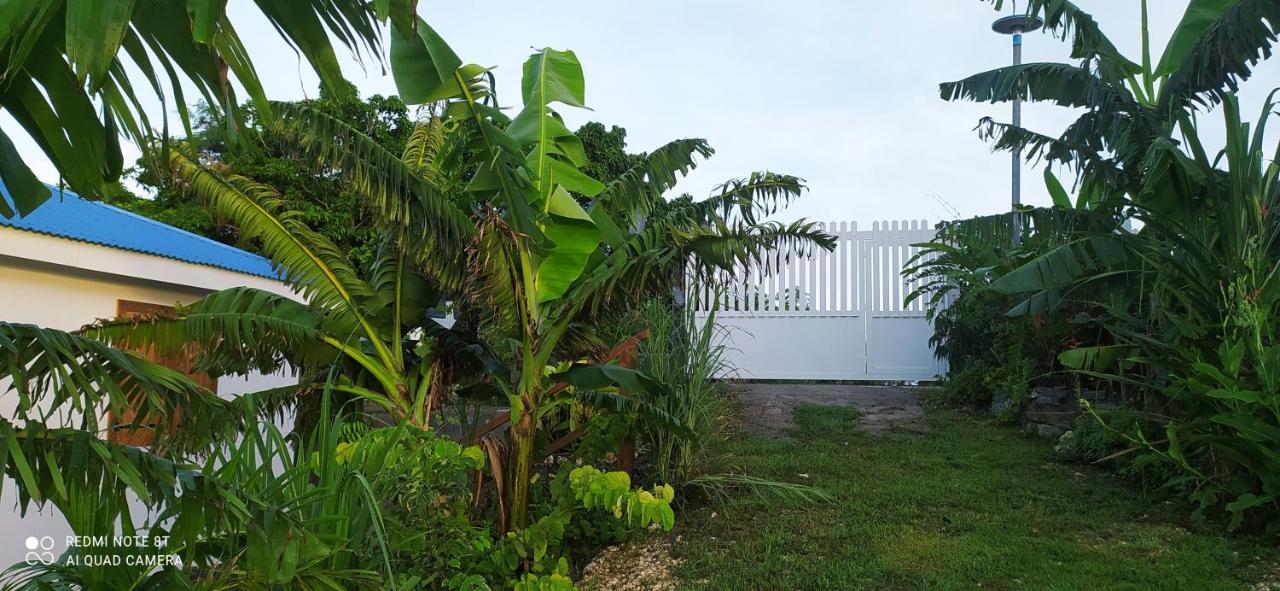 Location Vacances Guadeloupe Gite Et Table D'Hotes Kaz A Klemence Anse-Bertrand Exterior foto