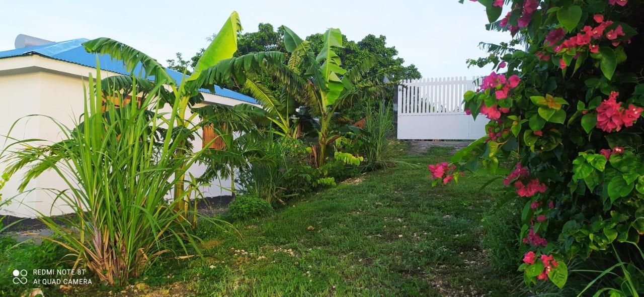 Location Vacances Guadeloupe Gite Et Table D'Hotes Kaz A Klemence Anse-Bertrand Exterior foto