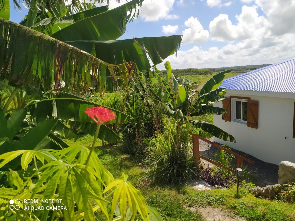 Location Vacances Guadeloupe Gite Et Table D'Hotes Kaz A Klemence Anse-Bertrand Exterior foto