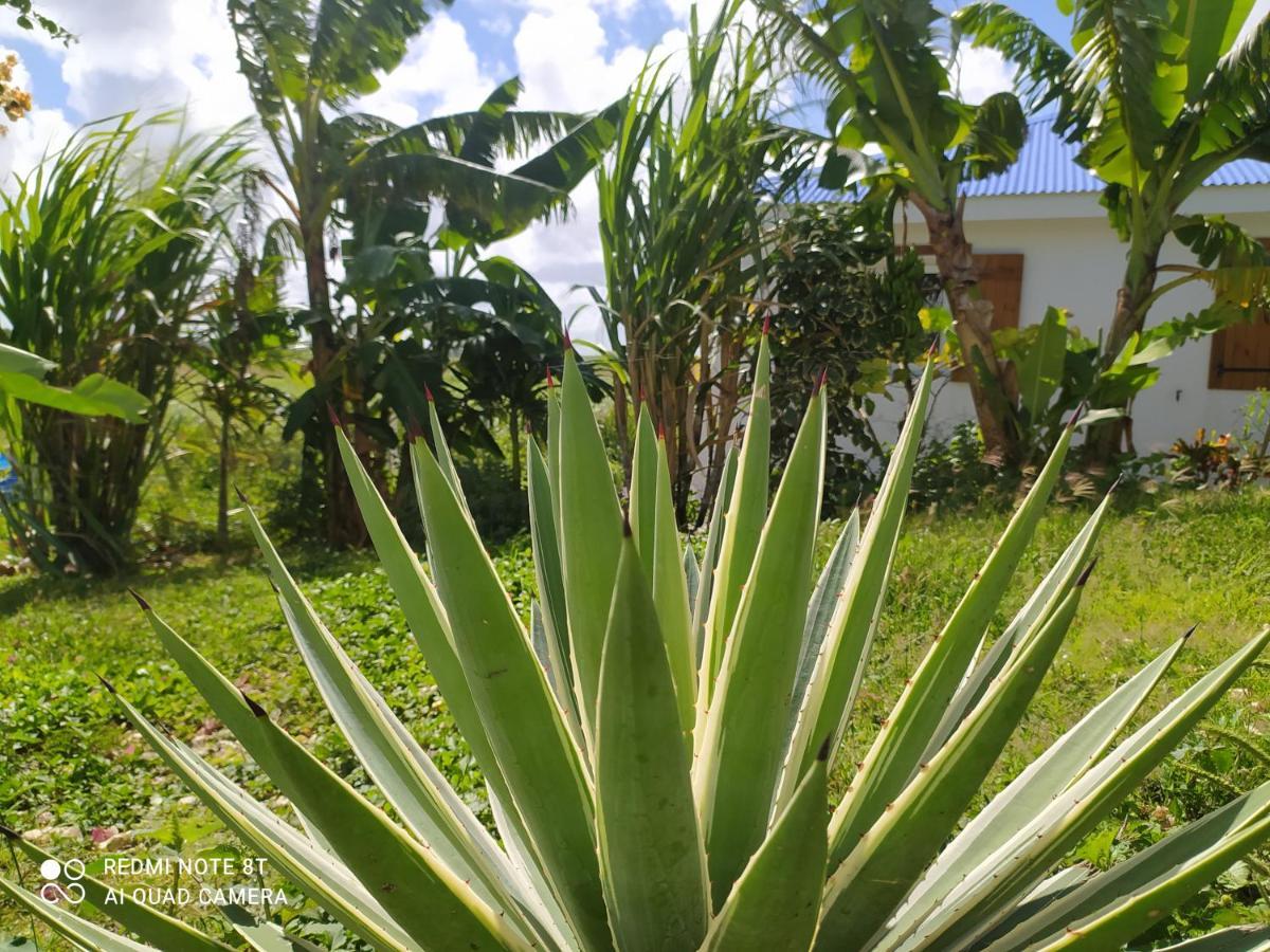 Location Vacances Guadeloupe Gite Et Table D'Hotes Kaz A Klemence Anse-Bertrand Exterior foto