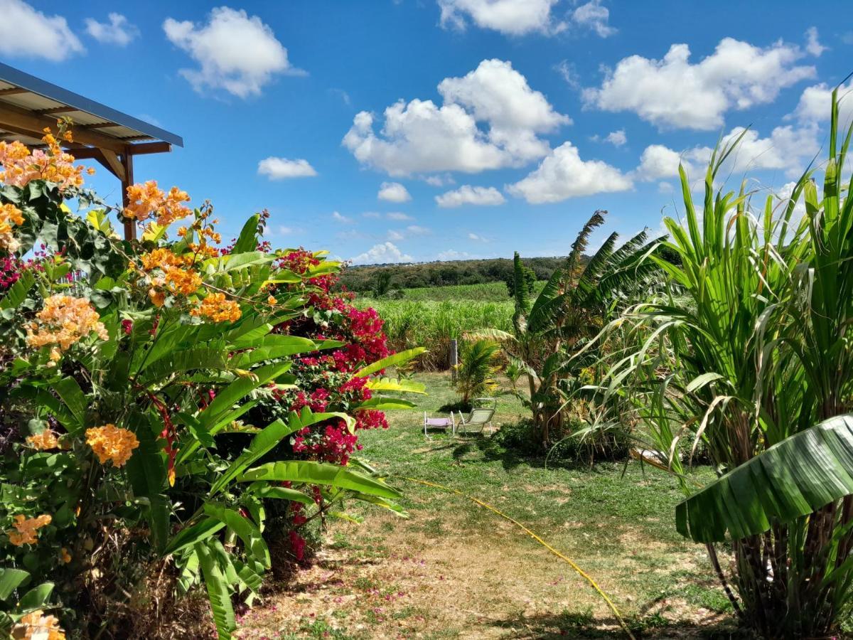 Location Vacances Guadeloupe Gite Et Table D'Hotes Kaz A Klemence Anse-Bertrand Exterior foto