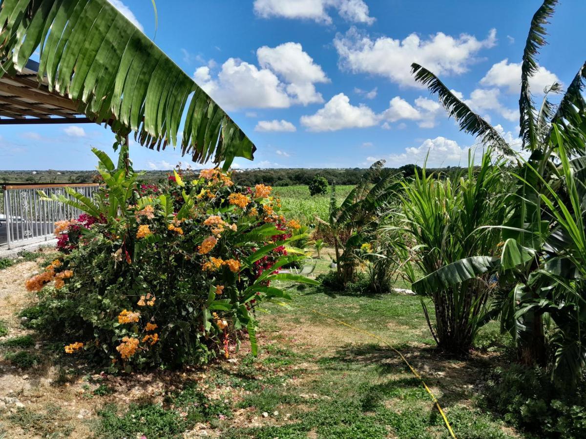 Location Vacances Guadeloupe Gite Et Table D'Hotes Kaz A Klemence Anse-Bertrand Exterior foto