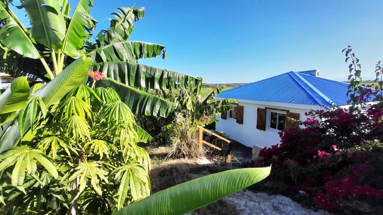 Location Vacances Guadeloupe Gite Et Table D'Hotes Kaz A Klemence Anse-Bertrand Exterior foto